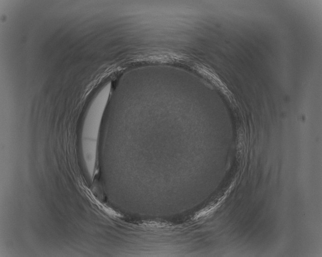 X0000084570585200703091813