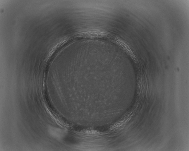 X0000084570590200703091813