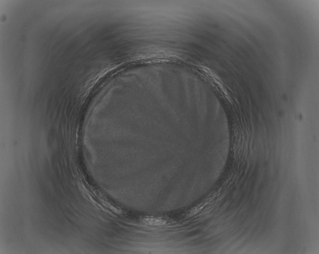 X0000084570596200703091813