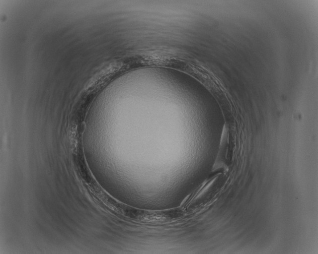X0000084570599200703091813