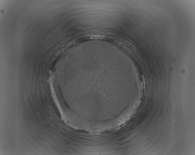 X0000084570604200703091813