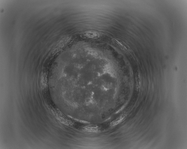 X0000084570606200703091813