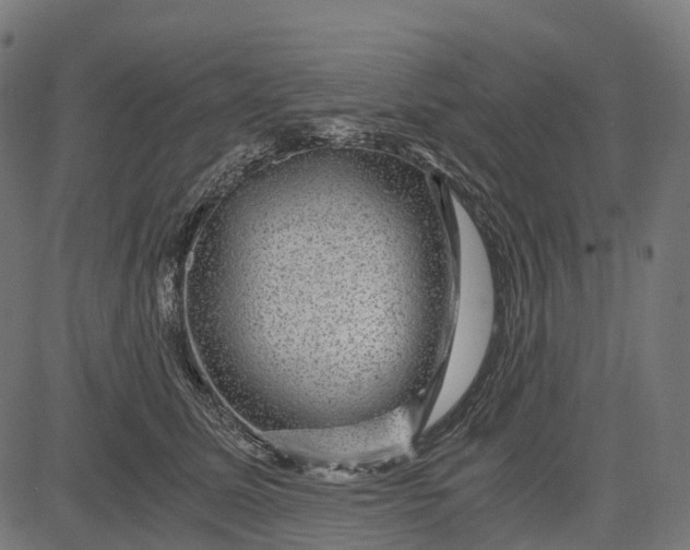 X0000084570611200703091813
