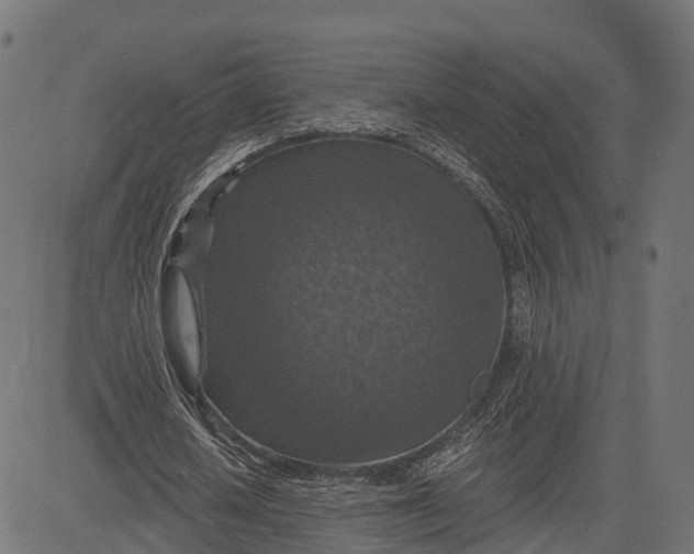 X0000084570626200703091812