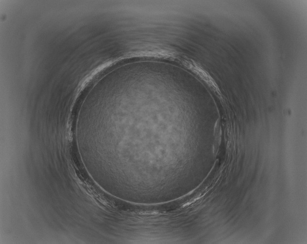 X0000084570628200703091812