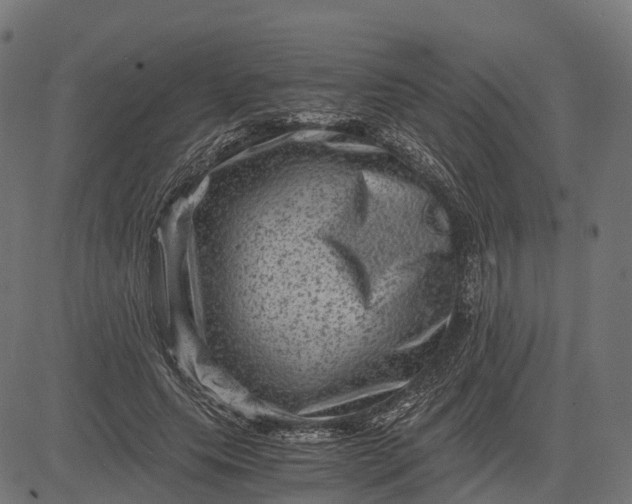 X0000084570639200703091812