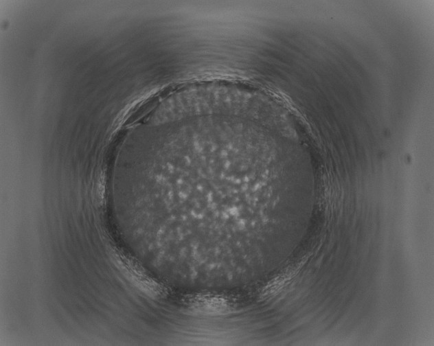X0000084570640200703091812