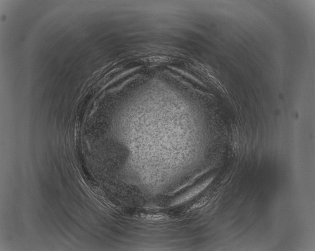 X0000084570645200703091812