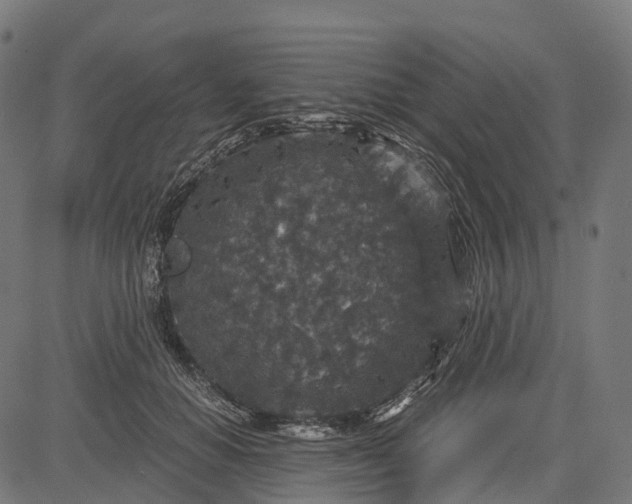 X0000084570654200703091812