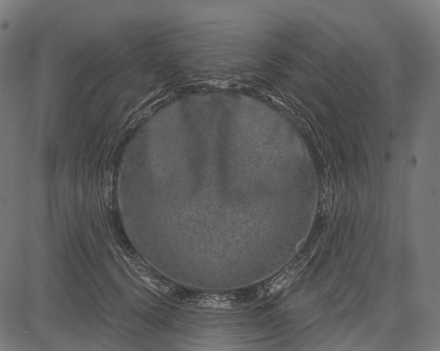 X0000084570656200703091812