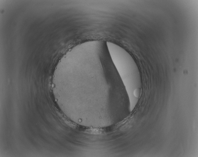 X0000084570672200703091812