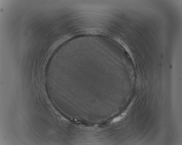X0000084570673200703091812