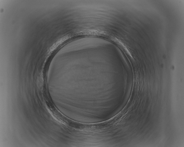 X0000084570674200703091812