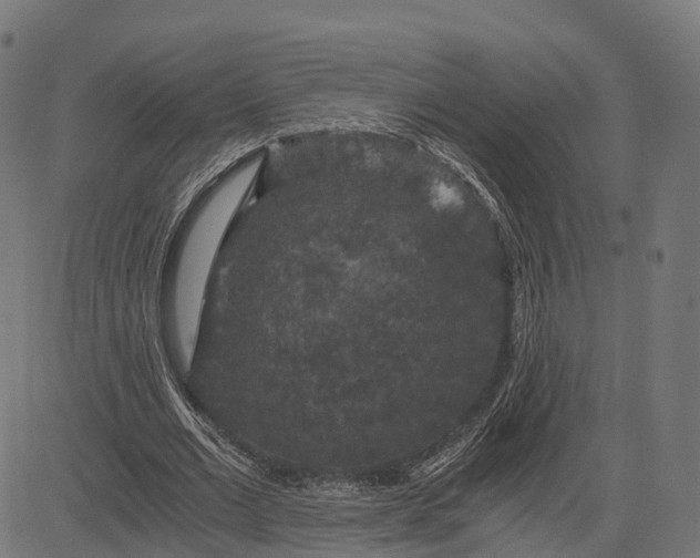 X0000084570677200703091812