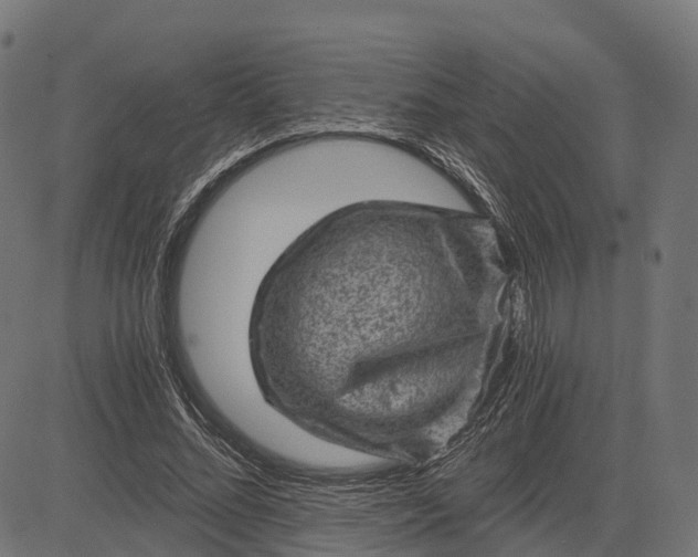 X0000084570684200703091811
