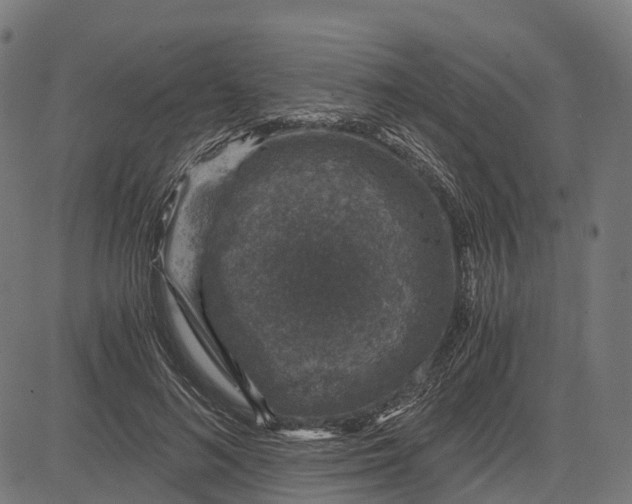 X0000084570692200703091811