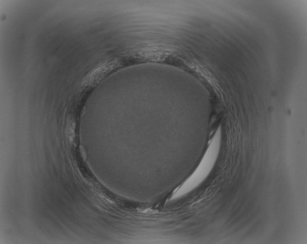 X0000084570693200703091811