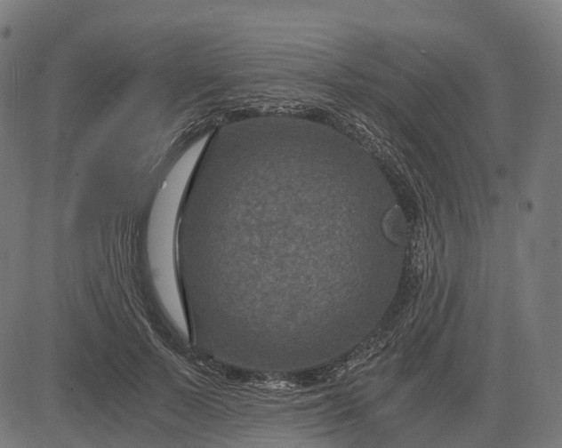 X0000084570695200703091811