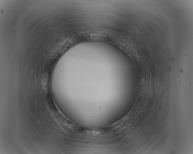 X0000084570698200703091811
