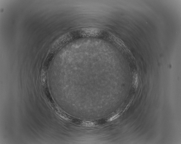 X0000084570701200703091811