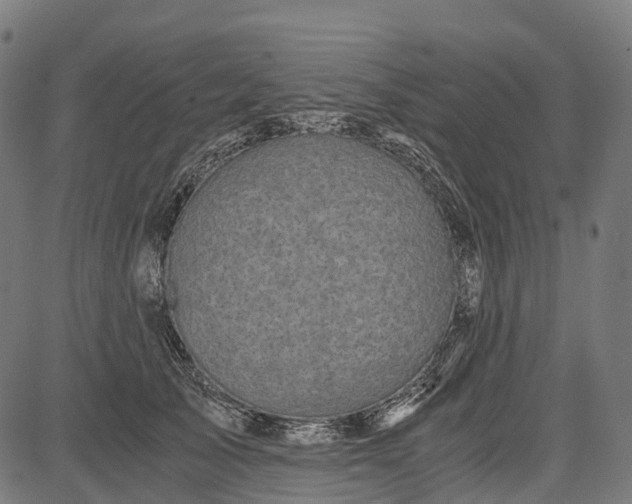 X0000084570705200703091811