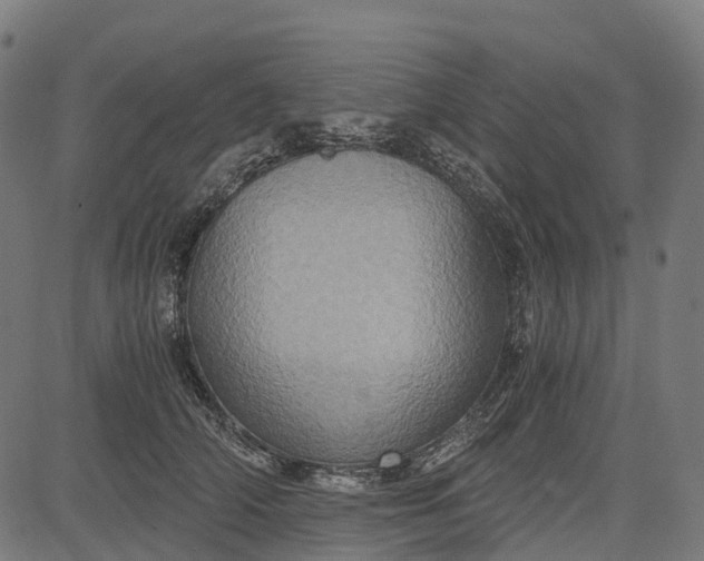 X0000084570706200703091811