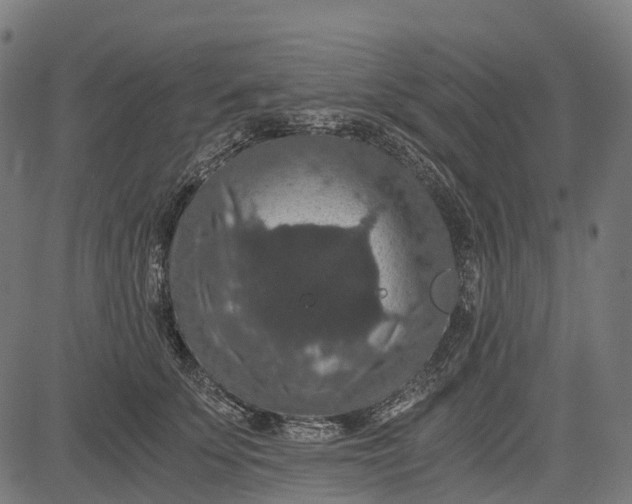 X0000084570707200703091811