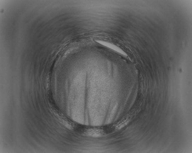 X0000084570708200703091811