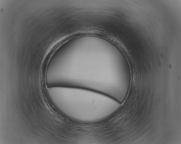 X0000084570724200703091810