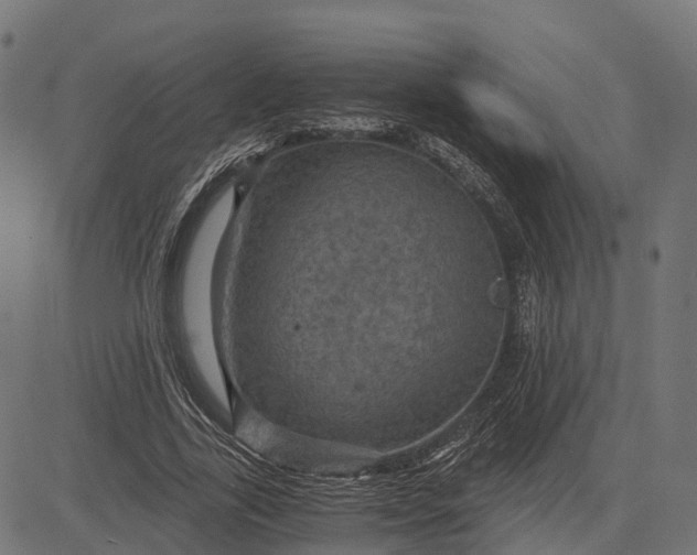 X0000084570731200703091810