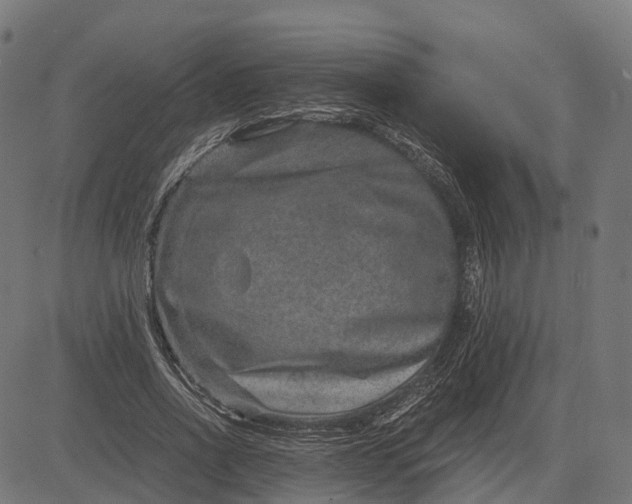 X0000084570734200703091810
