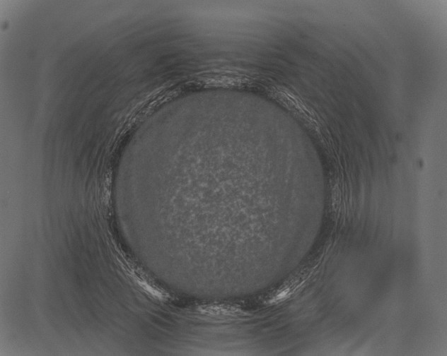 X0000084570737200703091810