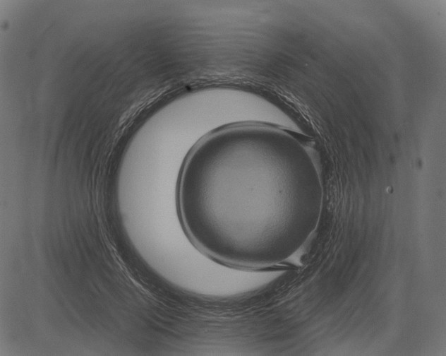 X0000084570740200703091810
