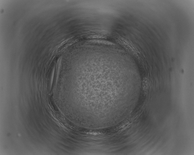 X0000084570741200703091810