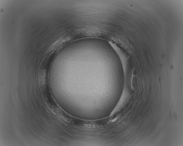 X0000084570744200703091810