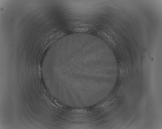 X0000084570745200703091810