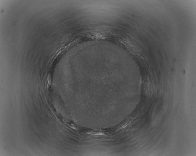 X0000084570747200703091810