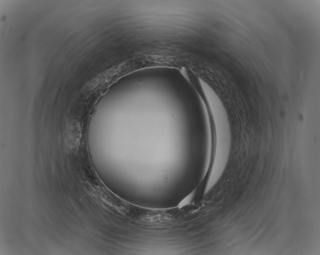 X0000084570752200703091811
