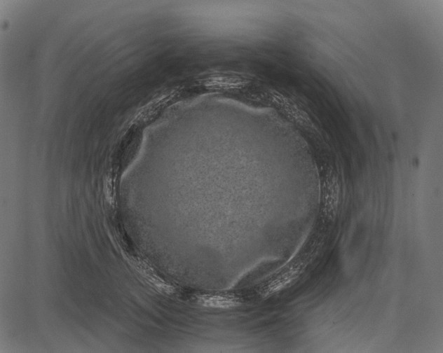 X0000084570755200703091811