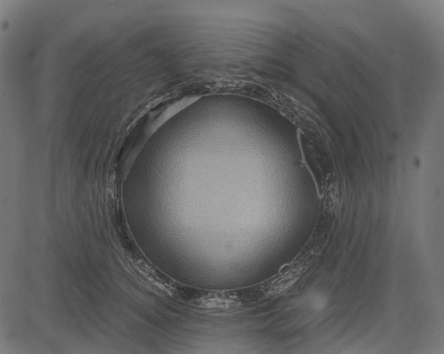 X0000084570756200703091811