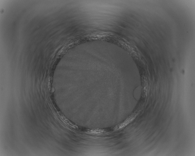 X0000084570758200703091811