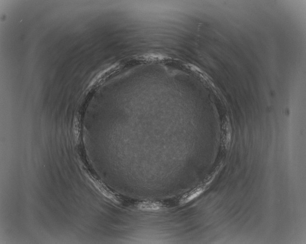 X0000084570762200703091811
