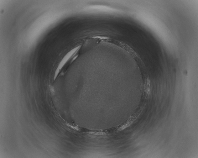 X0000084570763200703091811