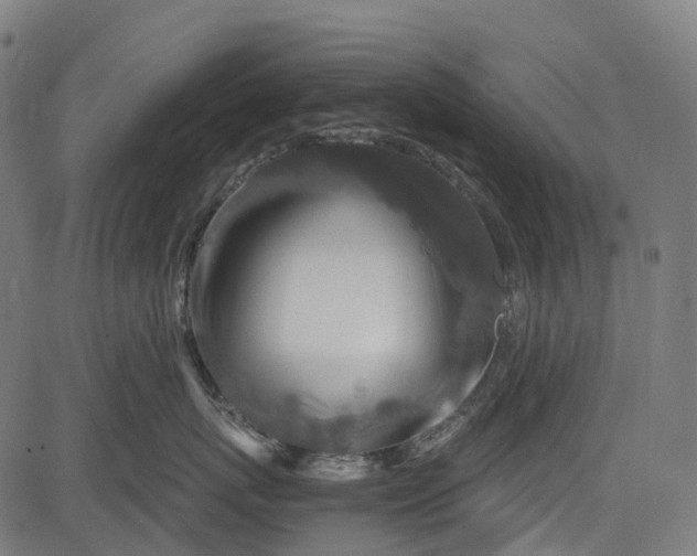 X0000084570767200703091811