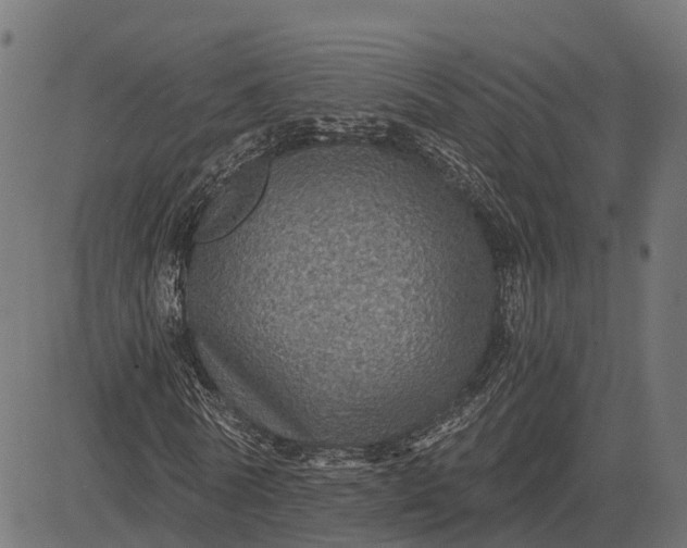X0000084570770200703091810