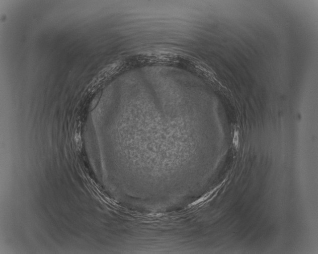 X0000084570771200703091810