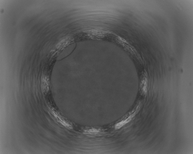 X0000084570772200703091810