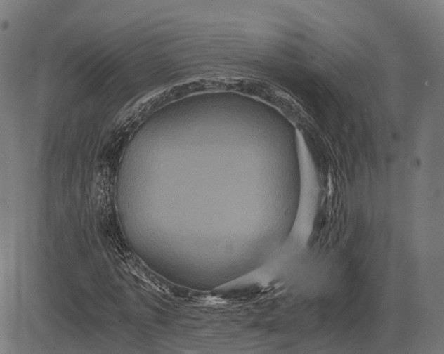 X0000084570773200703091810