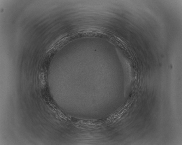 X0000084570774200703091810