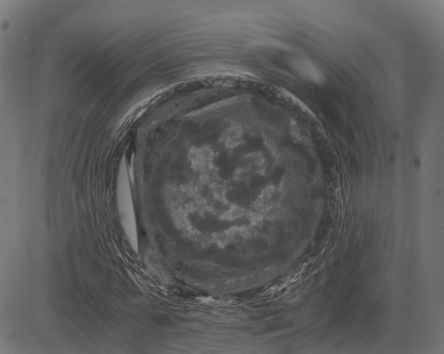 X0000084570775200703091810